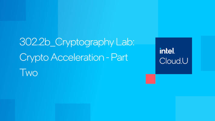 Chapter 1:Cryptography Lab: Crypto Acceleration - Part Two