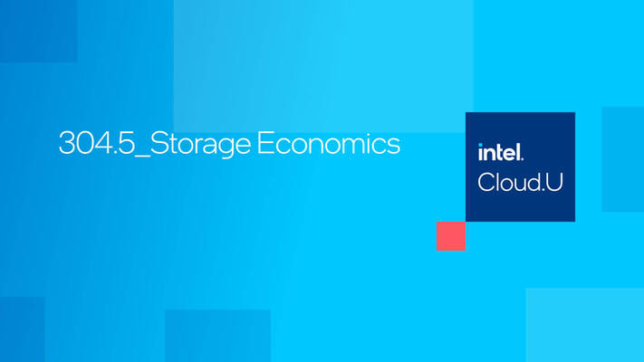 Chapter 1:Storage Economics