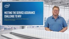 Network Functions Virtualization (NFV): Meeting the Service Assurance Challenge to NFV