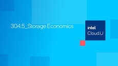 Storage Economics