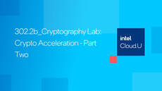 Cryptography Lab&colon; Crypto Acceleration - Part Two