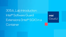 Intel&reg; Software Guard Extensions &lpar;Intel&reg; SGX&rpar; in a Container