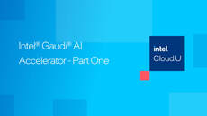 Intel&reg; Gaudi&reg; AI Accelerator on Amazon Web Services