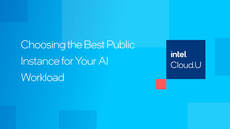 Choosing the Best Public Instance for Your AI Workload