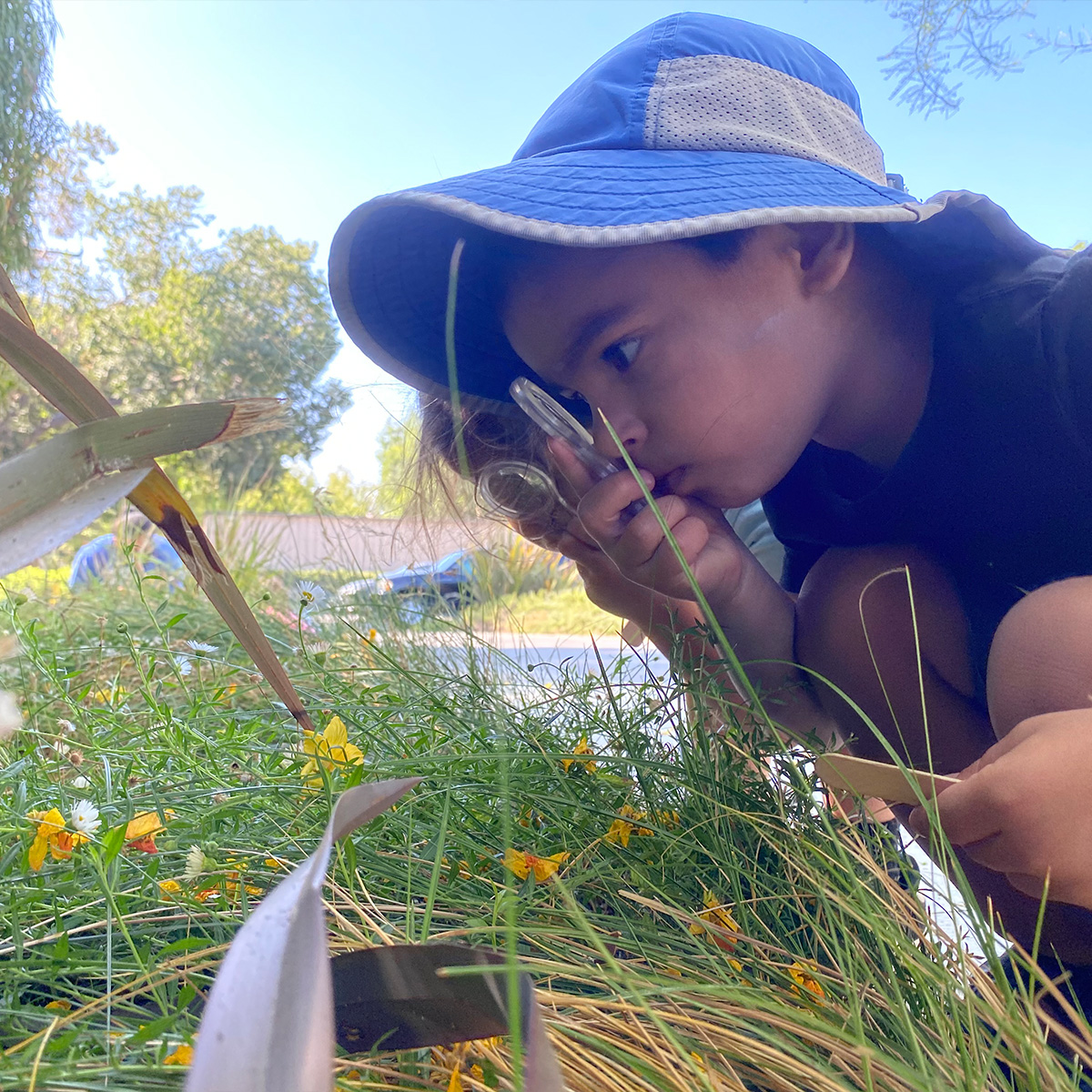 Explore Free STEM Resources